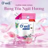Nước giặt xả Owell dạng túi Hương Sảng Khoái