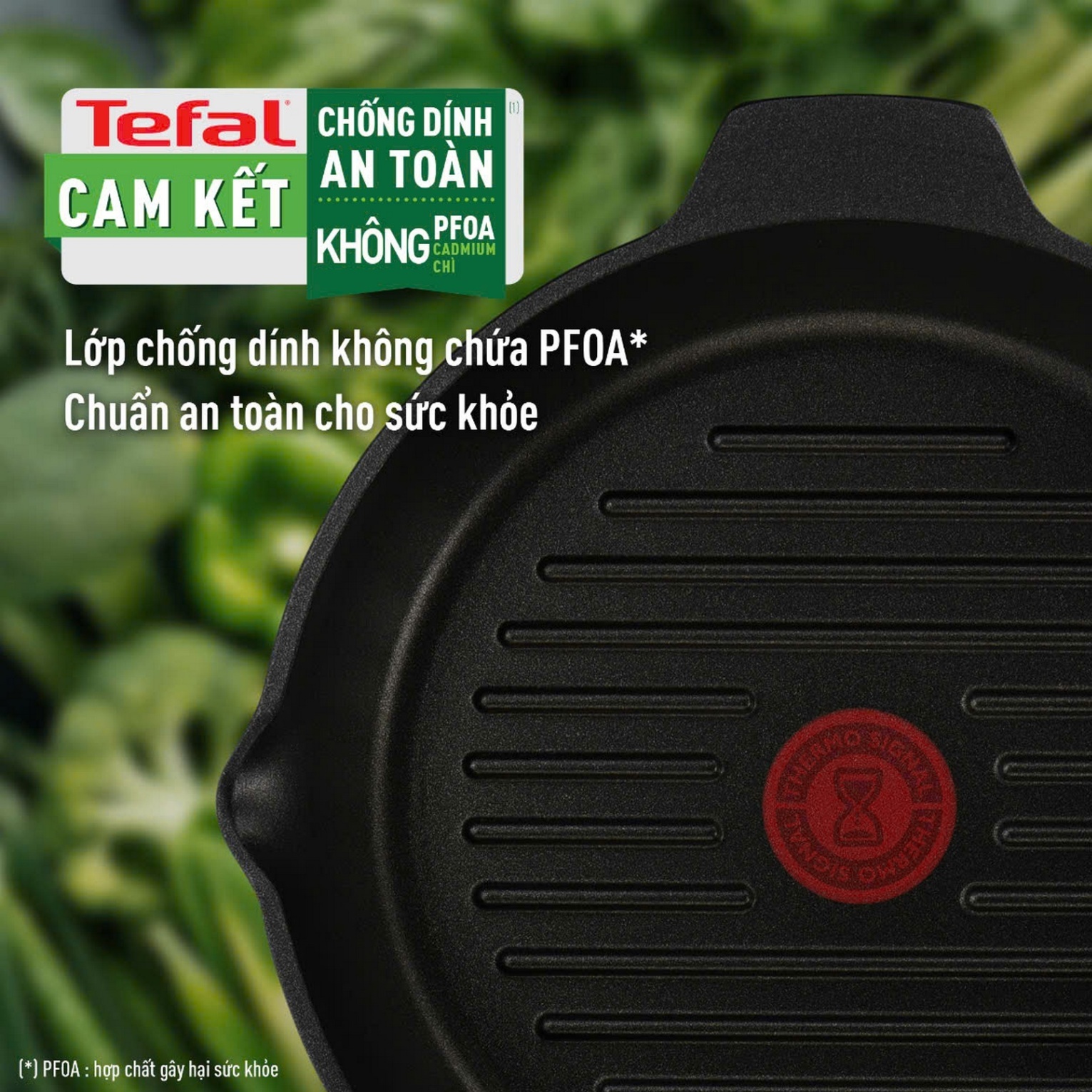 Chảo đúc cao cấp Tefal Robusto có miệng rót 22cm