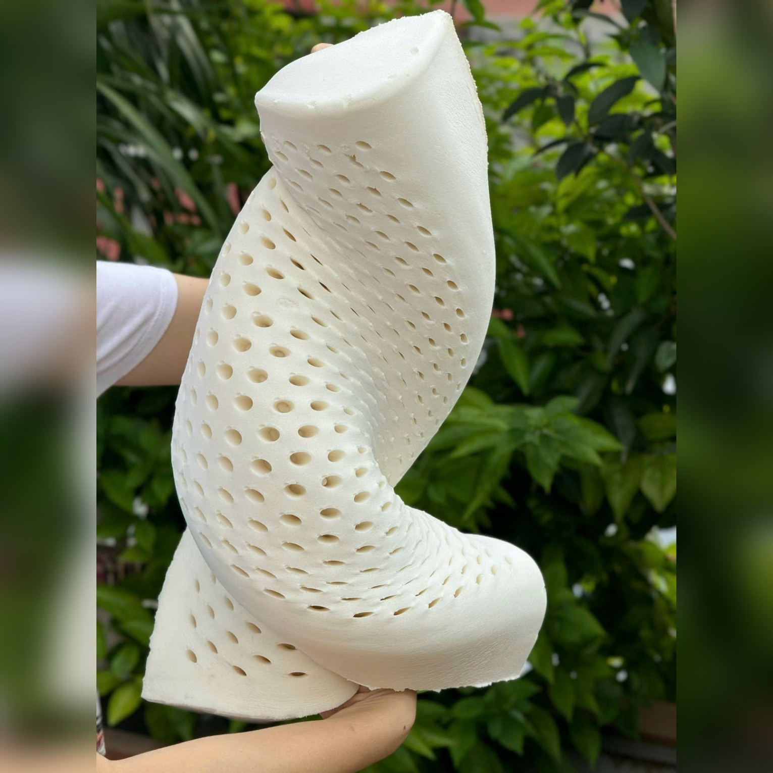 Gối cao su tự nhiên Kaiyo