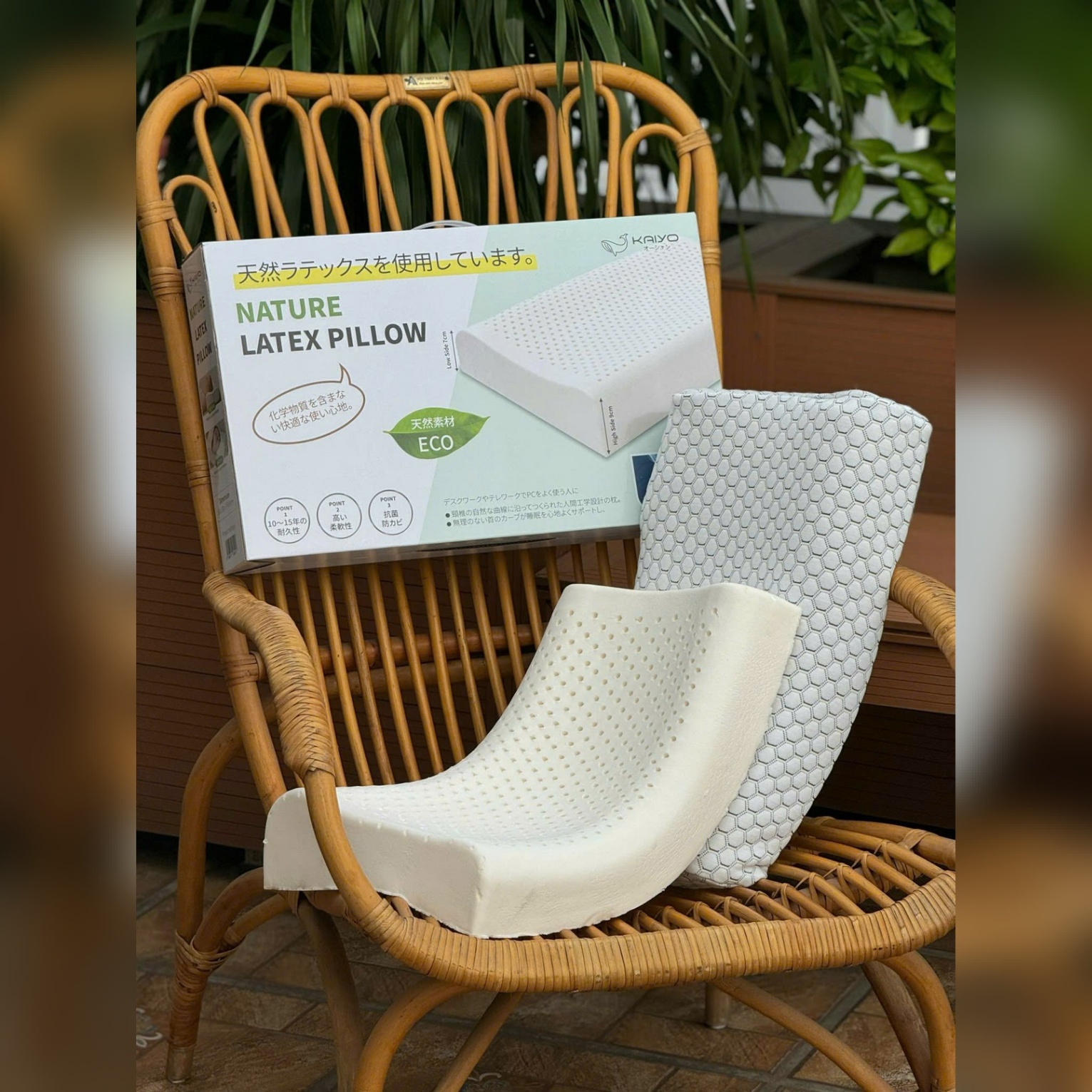 Gối cao su tự nhiên Kaiyo