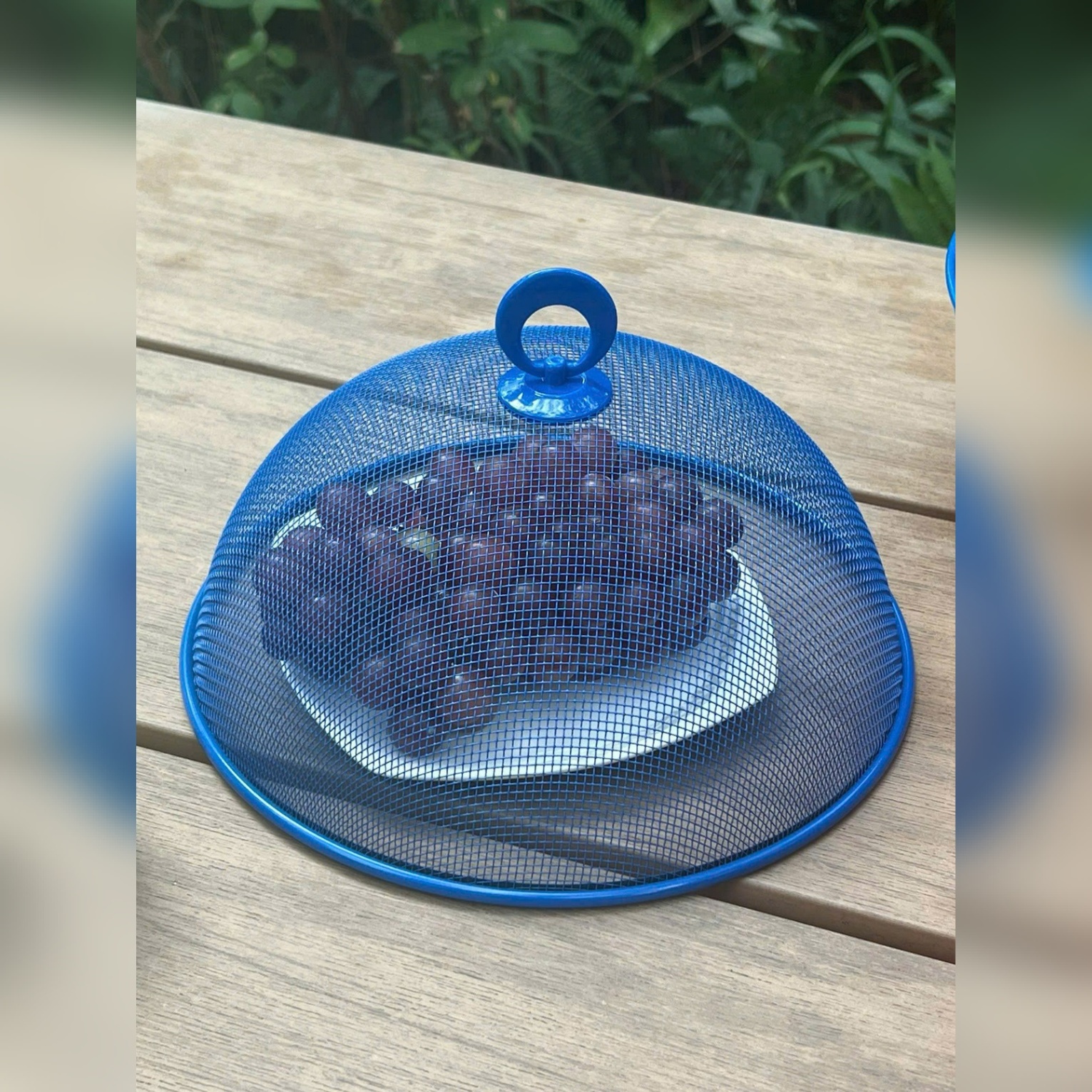 Rổ quả táo Kaiyo có nắp đậy, màu xanh