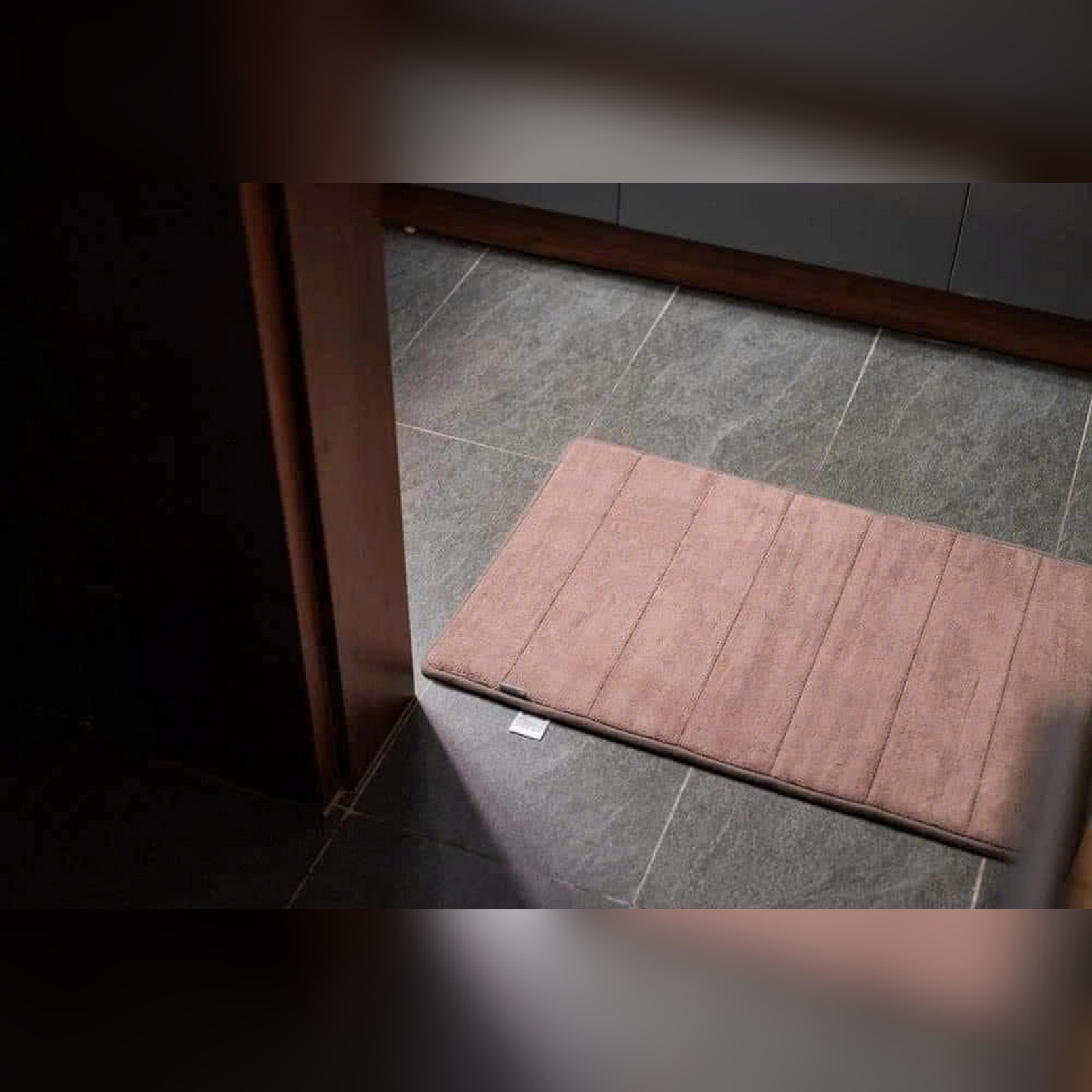 ZB83 Thảm chùi chân chất liệu: Polyester, kích thước 70*46cm (màu ghi tối, ghi sáng, nâu, xanh lam, tím)