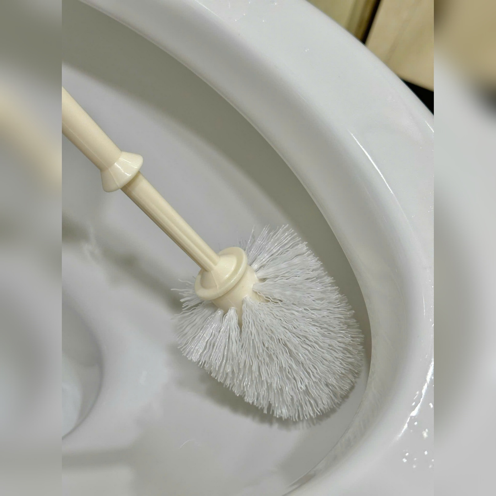 Chổi cọ toilet kèm hộp đựng Seiwa Pro
