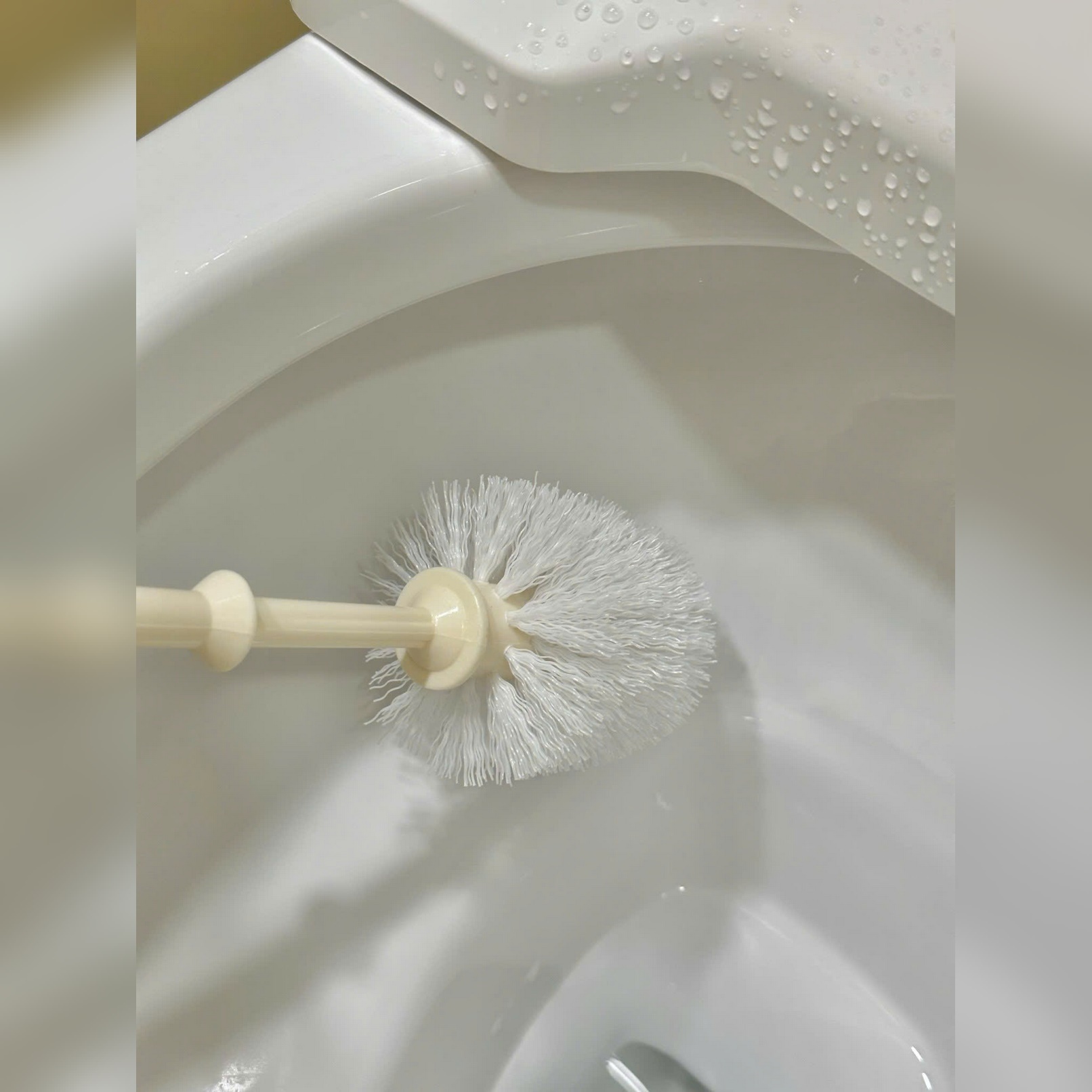 Chổi cọ toilet kèm hộp đựng Seiwa Pro
