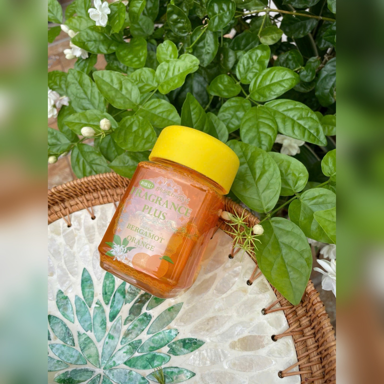 Hộp thơm phòng cao cấp hương nước hoa